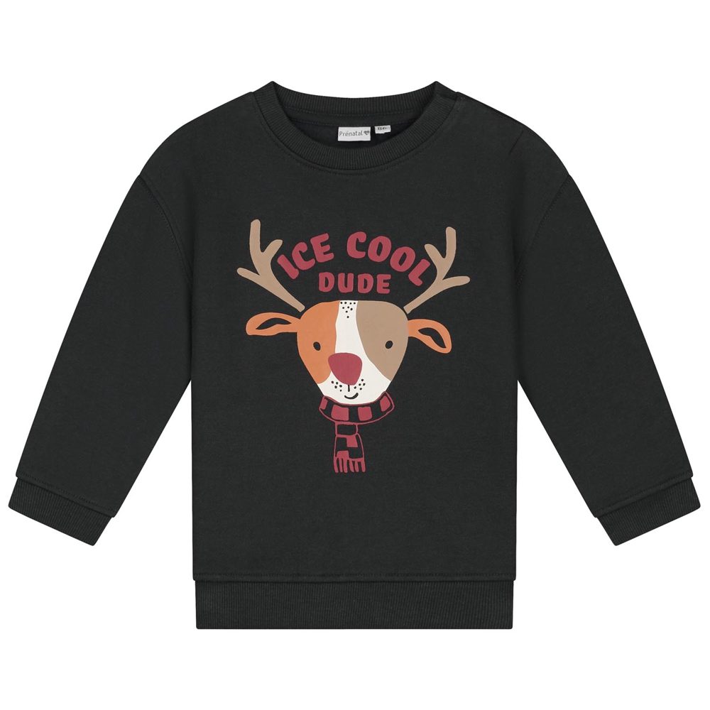 Prénatal baby sweater - Grey