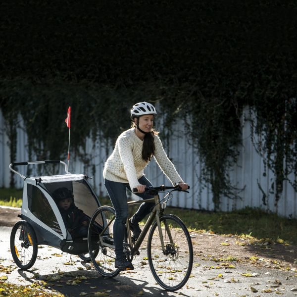 Thule Coaster XT Fietskar - Blue – foto 9