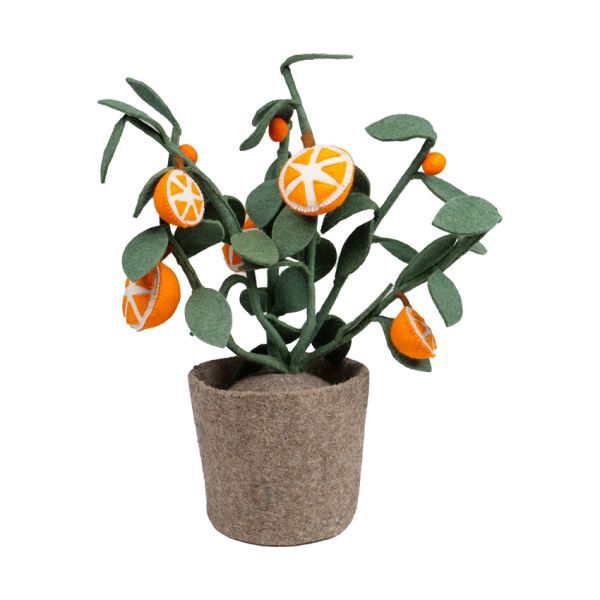 Kidsdepot  Plant - Orange