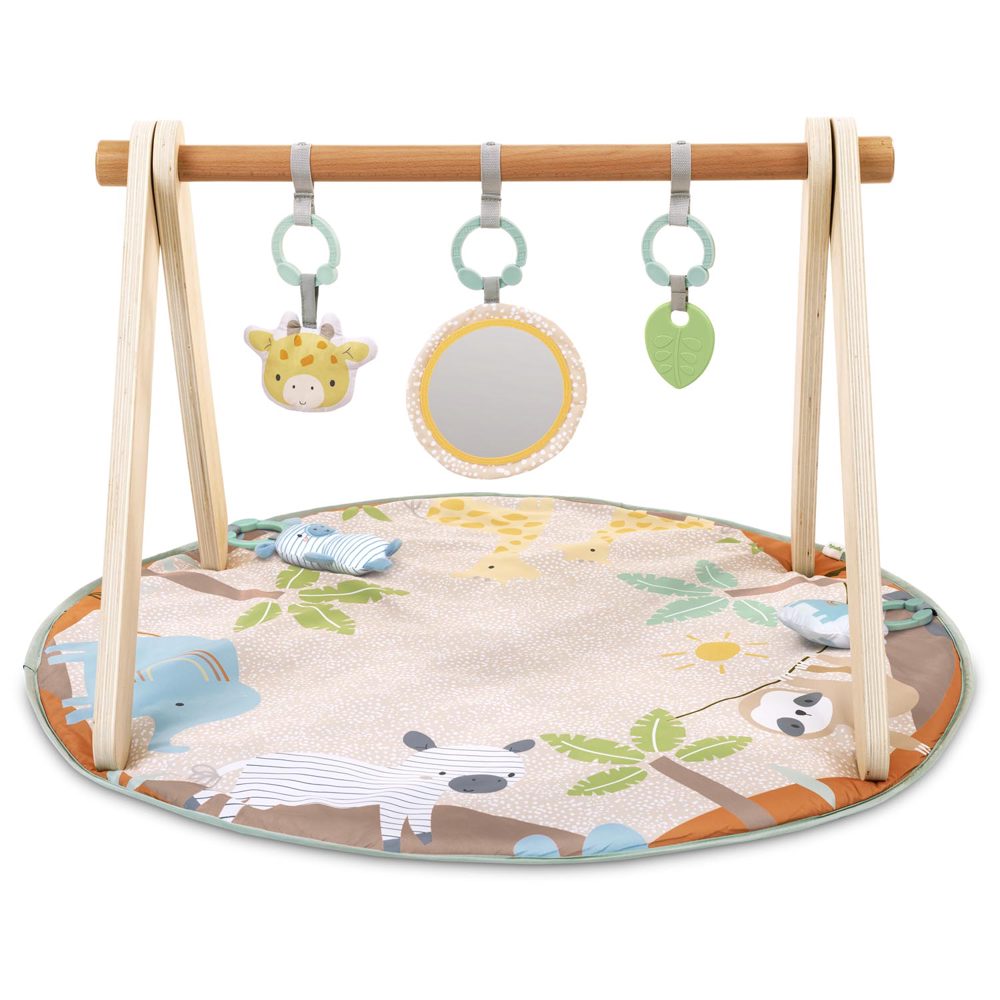 Ingenuity speelkleed Wonderwood - Multi