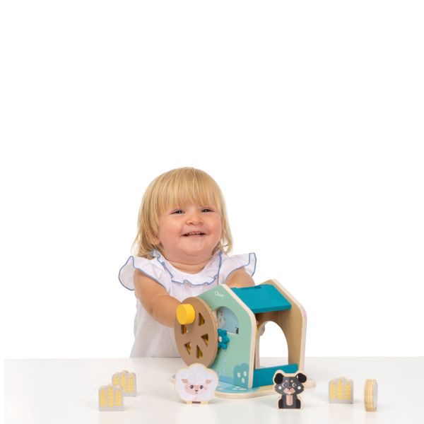 Chicco Schapen Watermolen – foto 4